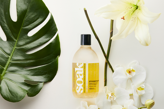 merkvisual.Soak
