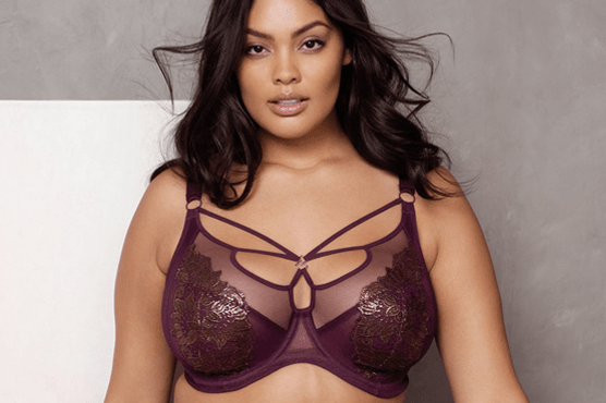 Elomi lingerie