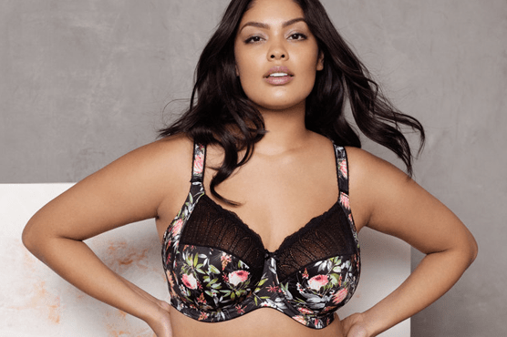 Elomi lingerie