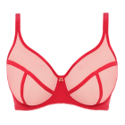 Snapshot Plunge BH