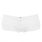 Soiree Lace Short