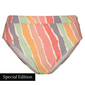 Rainbow High Waist Bikinibroekje