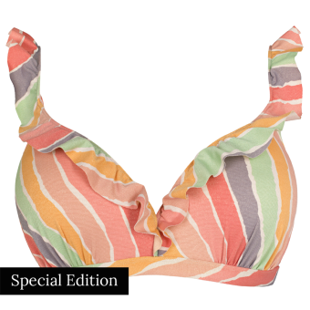 Rainbow Plunge Bikinitop