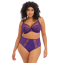 Elomi Lingerie Matilda Plunge BH Iris