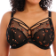 Elomi Sachi Plunge BH Black Butterfly